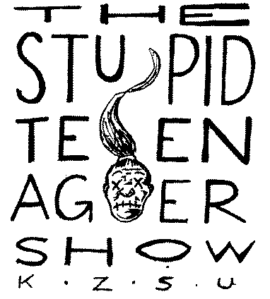 THE STUPID TEENAGER SHOW
